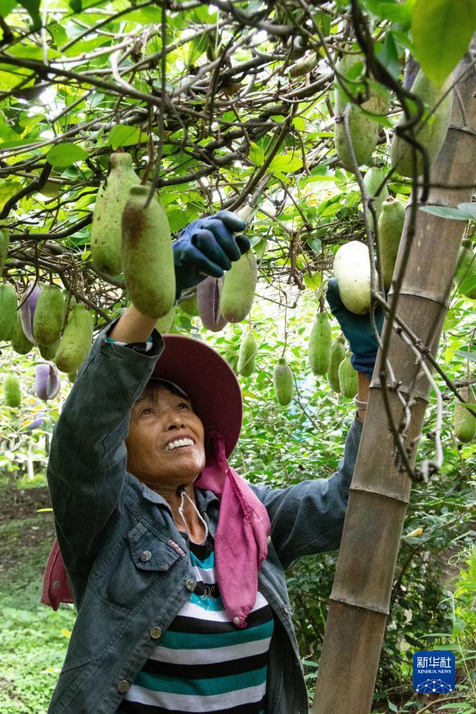 奥门金沙ag